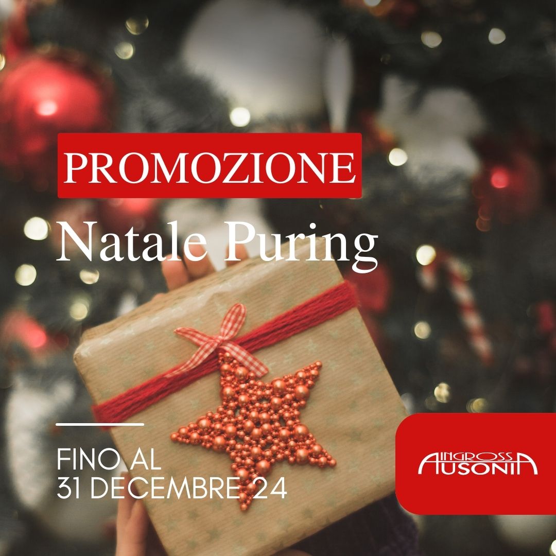 Promozione Natale Puring